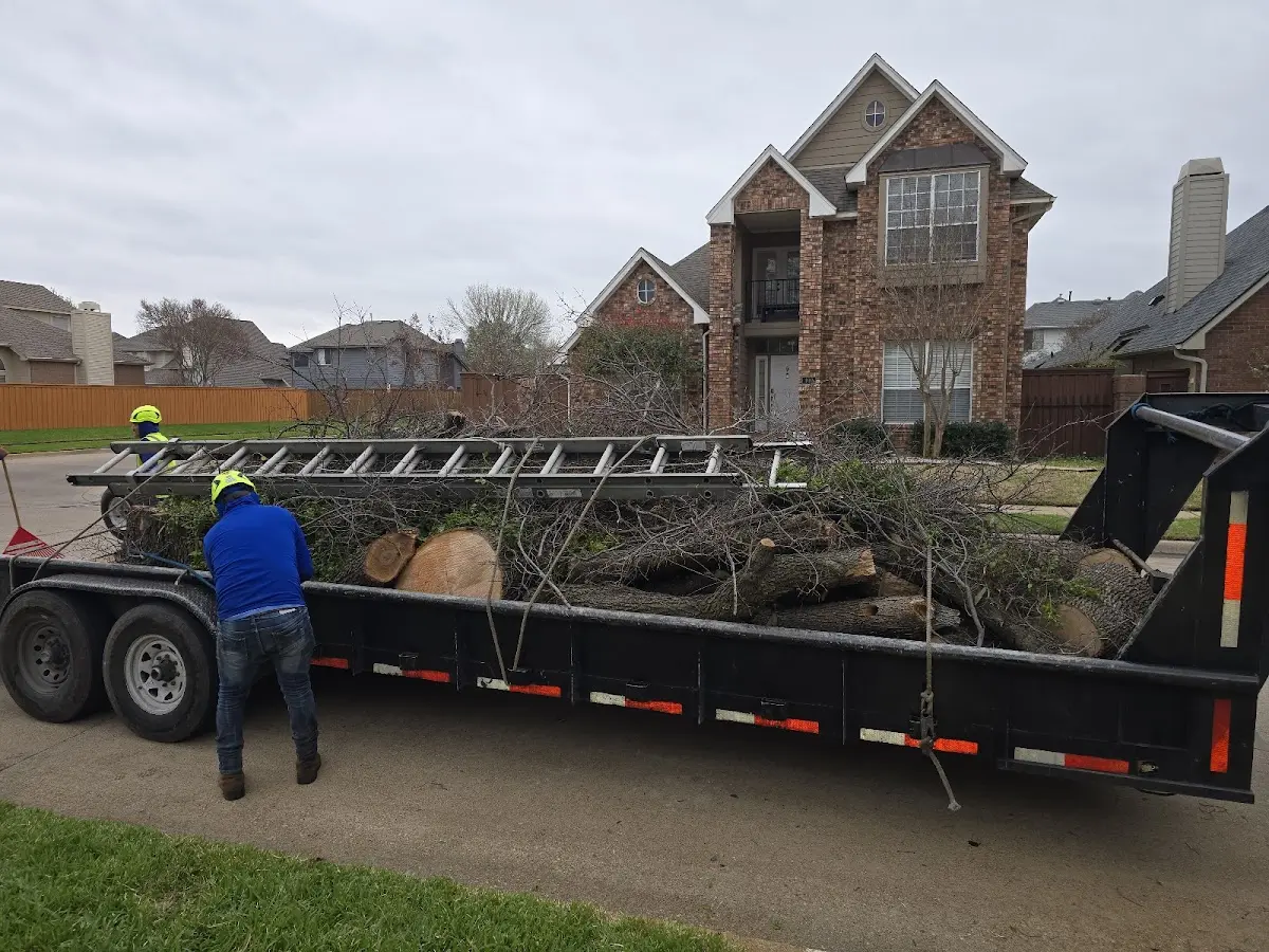 Expert Lot Clearing with proper safety equipment in Paisley